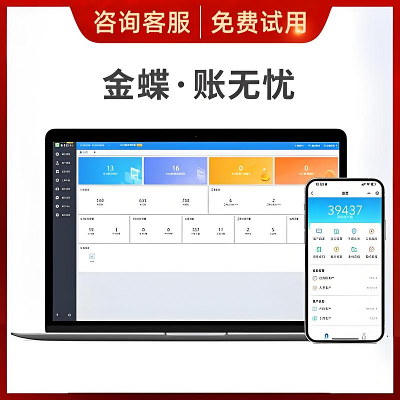 辛集企业代理记账软件，首选金蝶帐无忧。