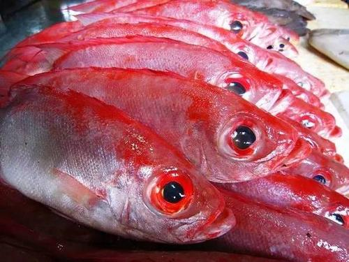 广西北海的大眼鸡鱼真好吃啊